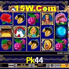 Experiência VIP Pk44